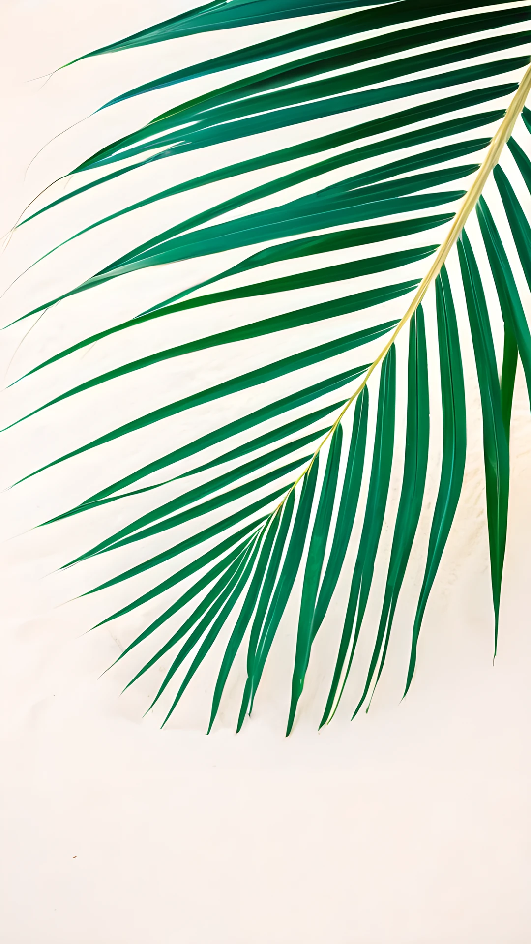 Summer Beach Vibes (Mobile) palm leaf 2025-10-18